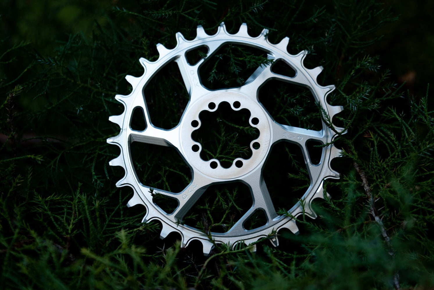 Amulet Chainring