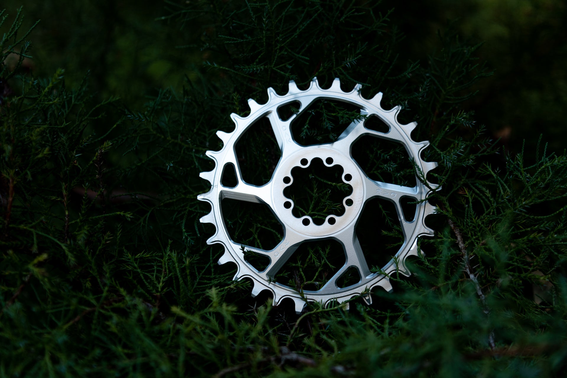 Amulet Chainring