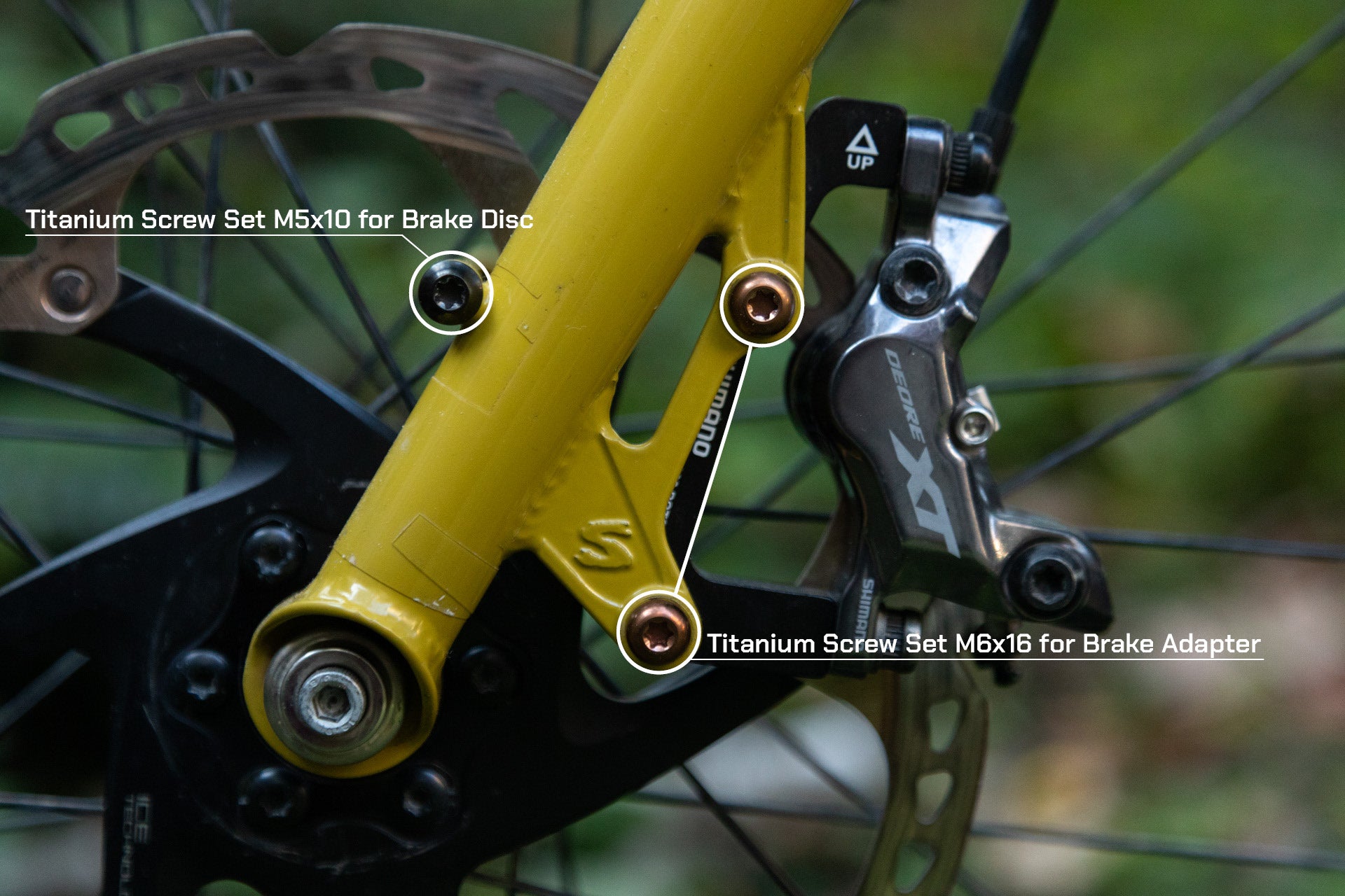 Titanschrauben Set M6x16 für Bremsadapter (4 Stk)