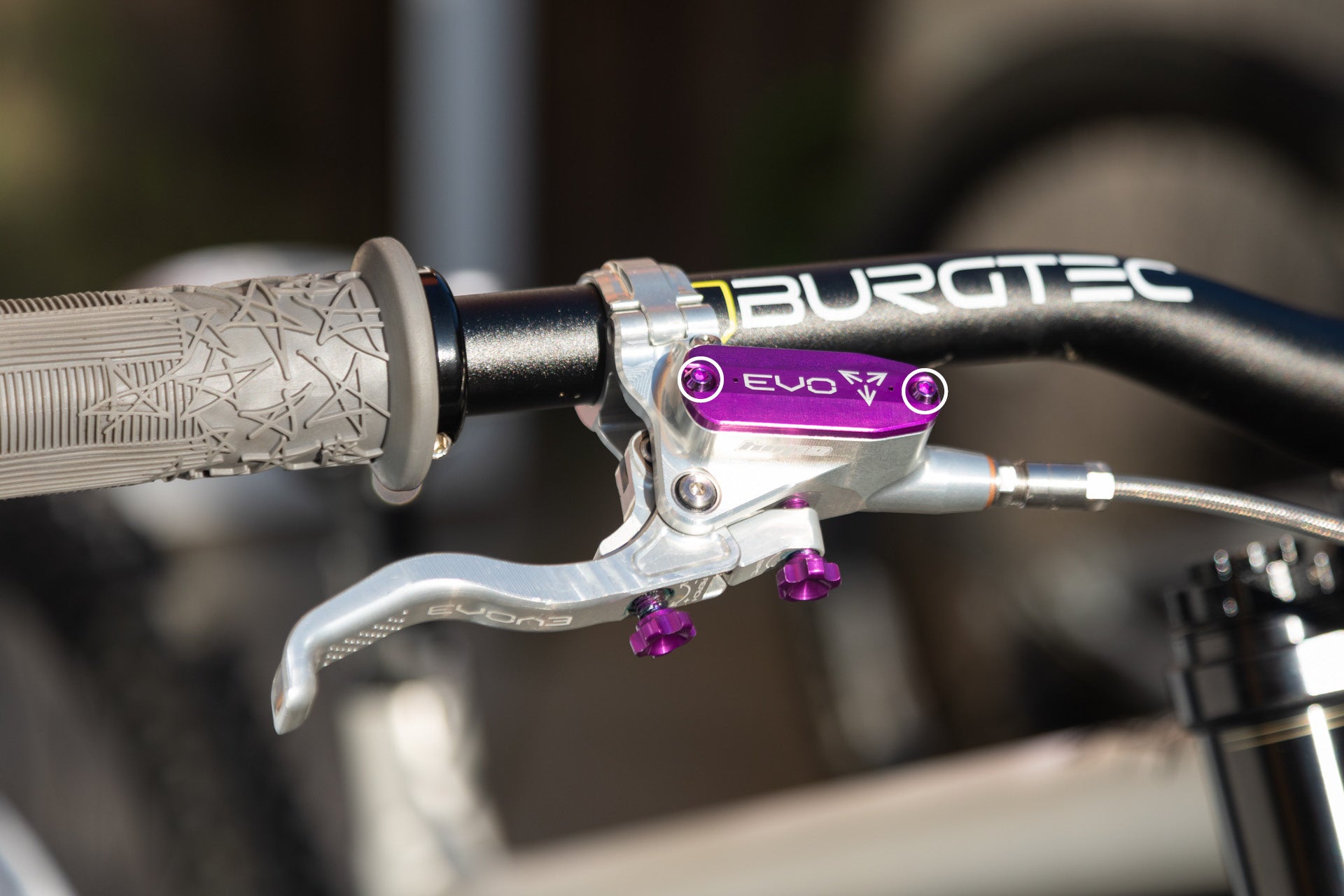 Titanschrauben Set M3x9 für SRAM Hebellager & Hope-Deckel (4 Stk)