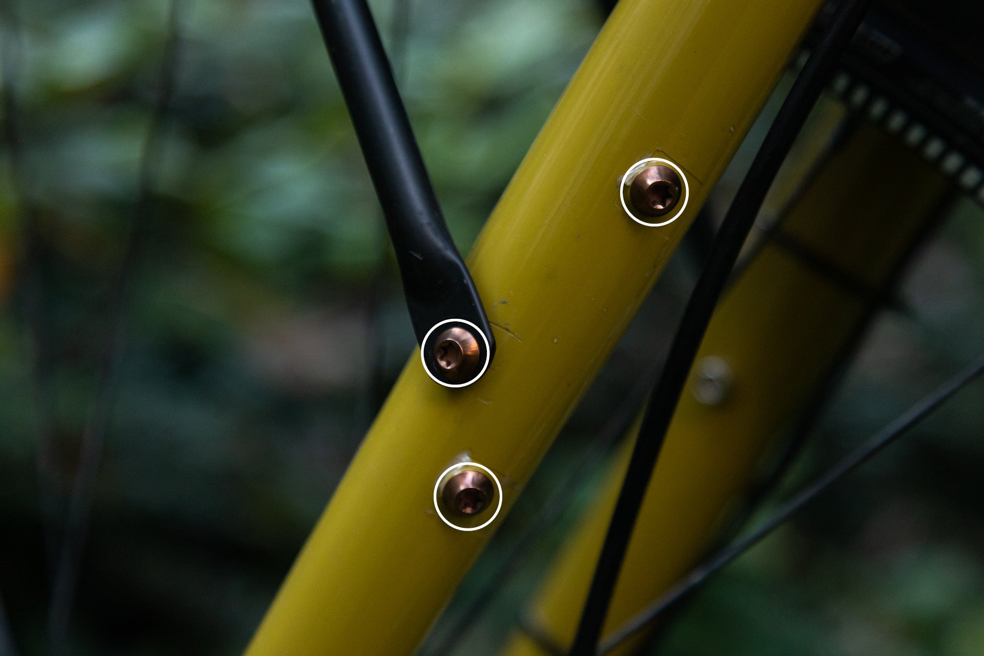 Titanschrauben Set M5x15 für Flaschenhalter (4 Stk)