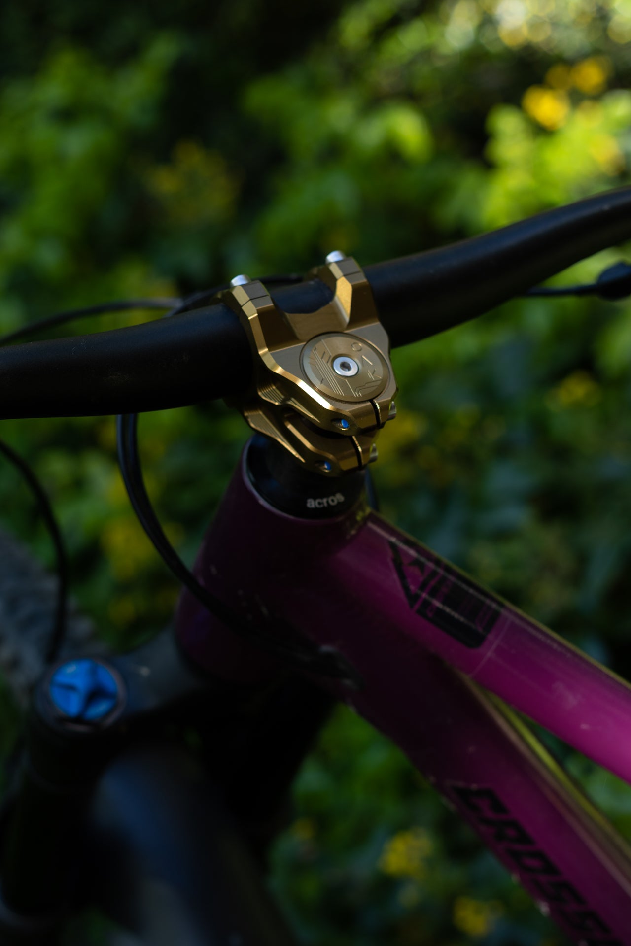 Metallic gold stem clamp on purple mountain bike frame with black Acros logo, set against blurred green foliage