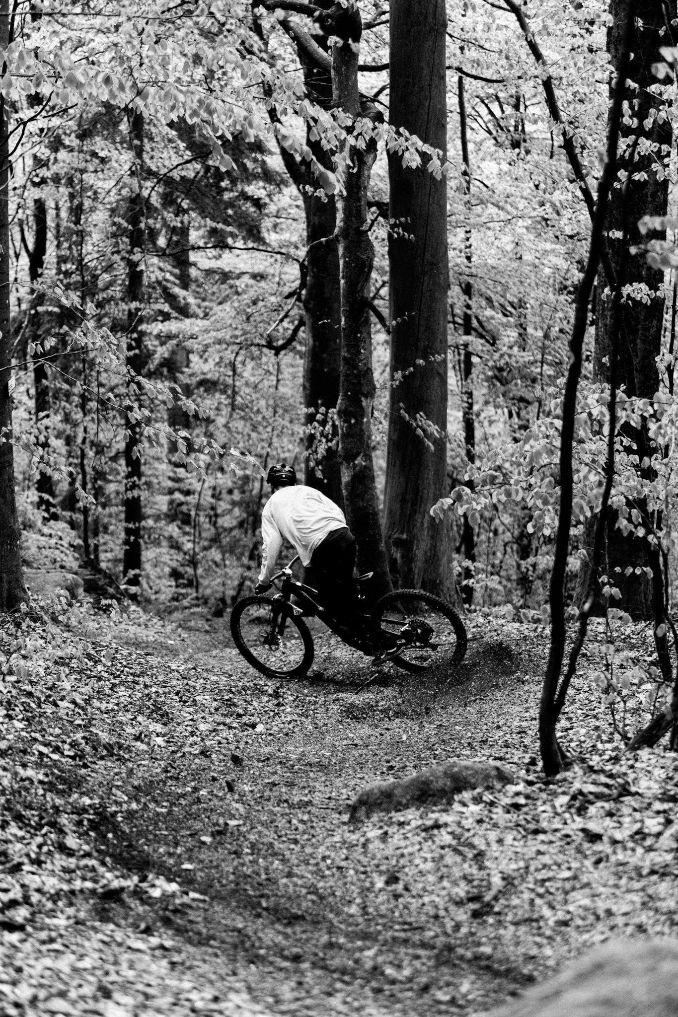 Mountainbiker bremst auf Enduro Trail