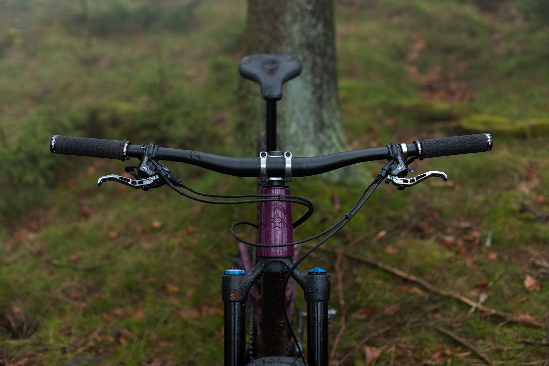 Mountain bike handlebar with SRAM brake levers, purple head tube, in a forest with moss and leaves