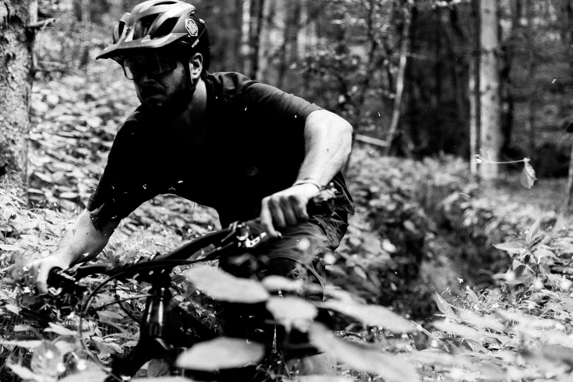 Man mountain biking on a forest trail surrounded by lush vegetation and tall trees.