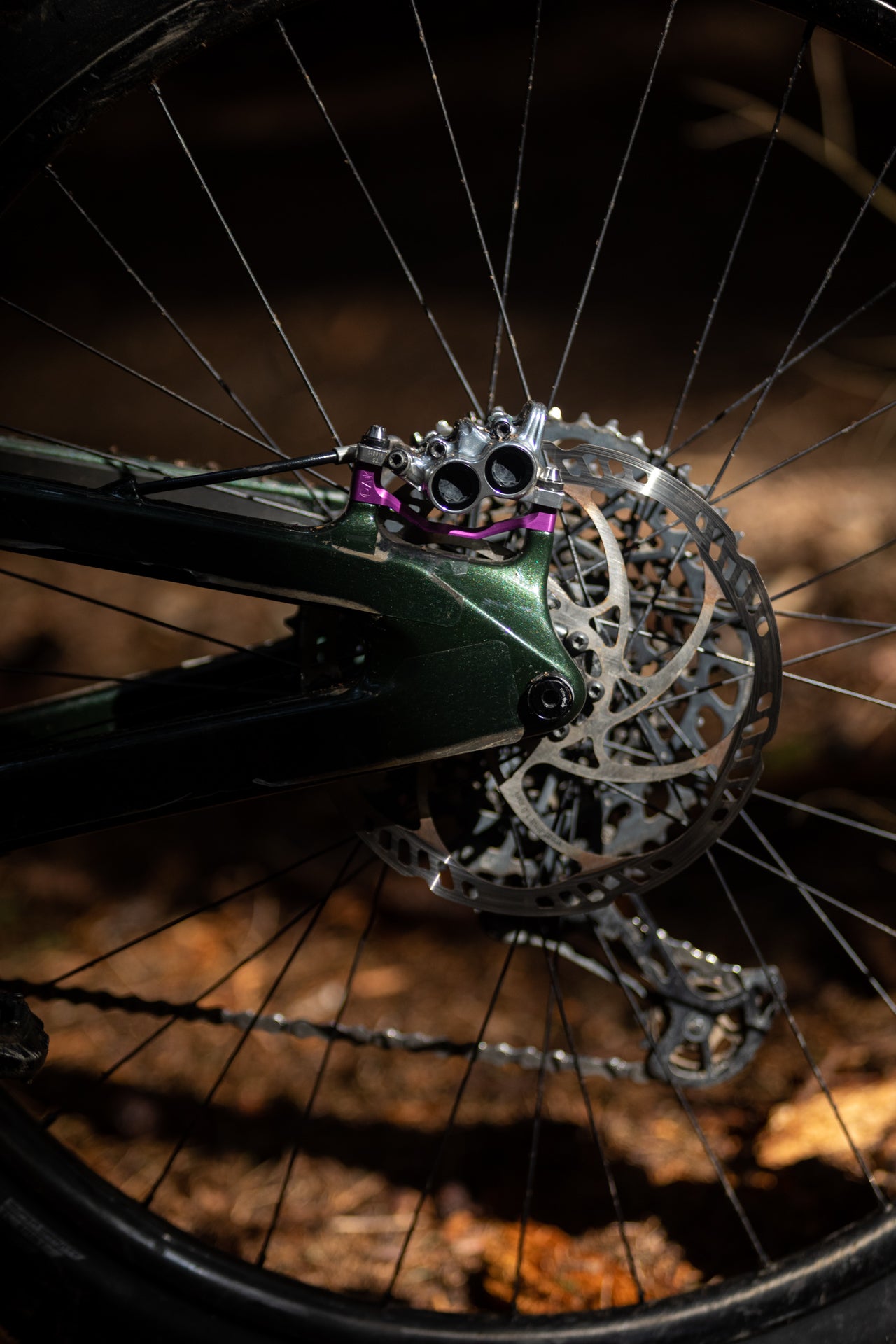 Close-up of a mountain bike's rear wheel with disc brake rotor, caliper, derailleur, and chain on a green frame.