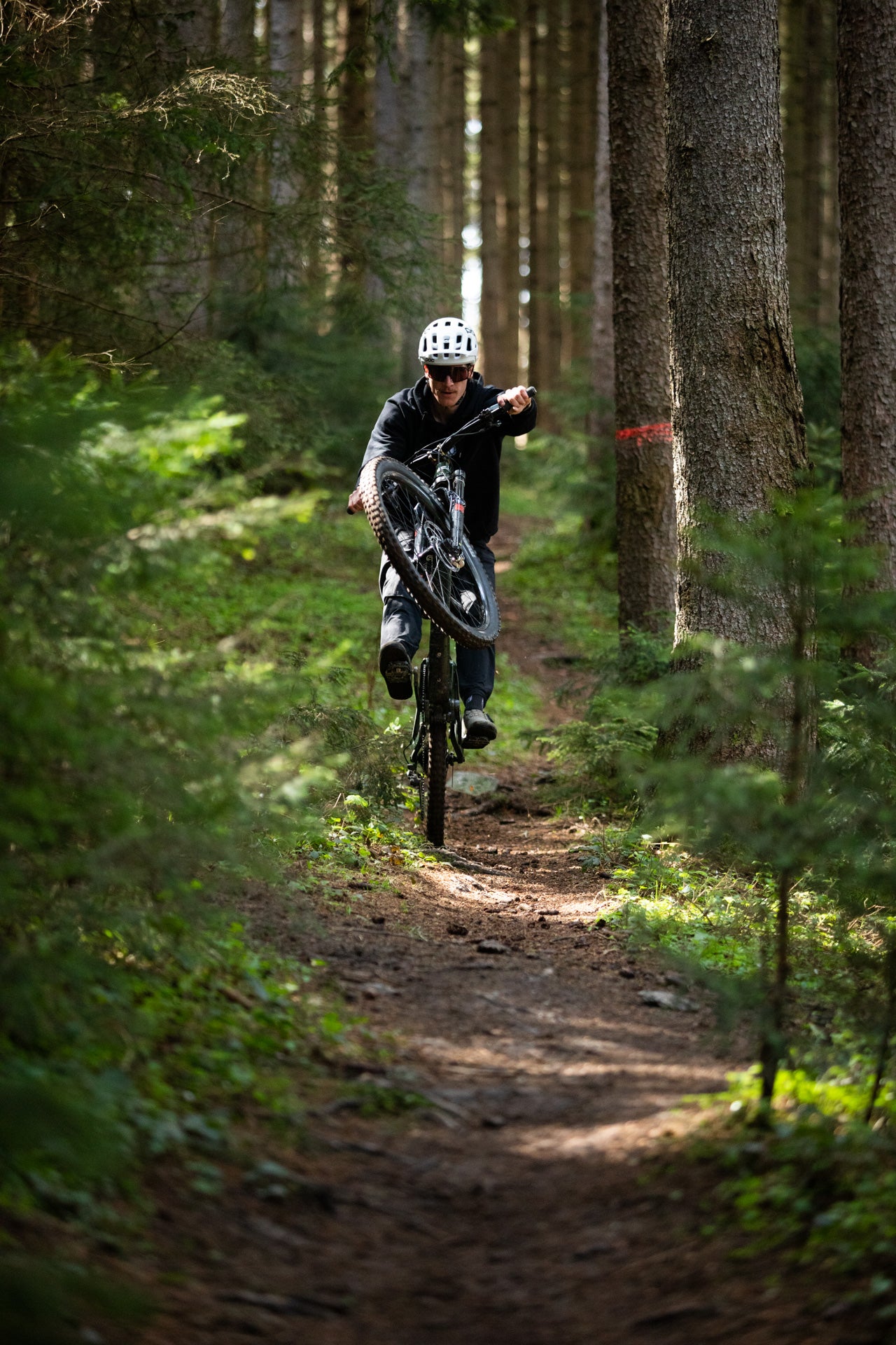 Mountain biker in white helmet and sunglasses doing a wheelie on a forest dirt trail with tall trees.