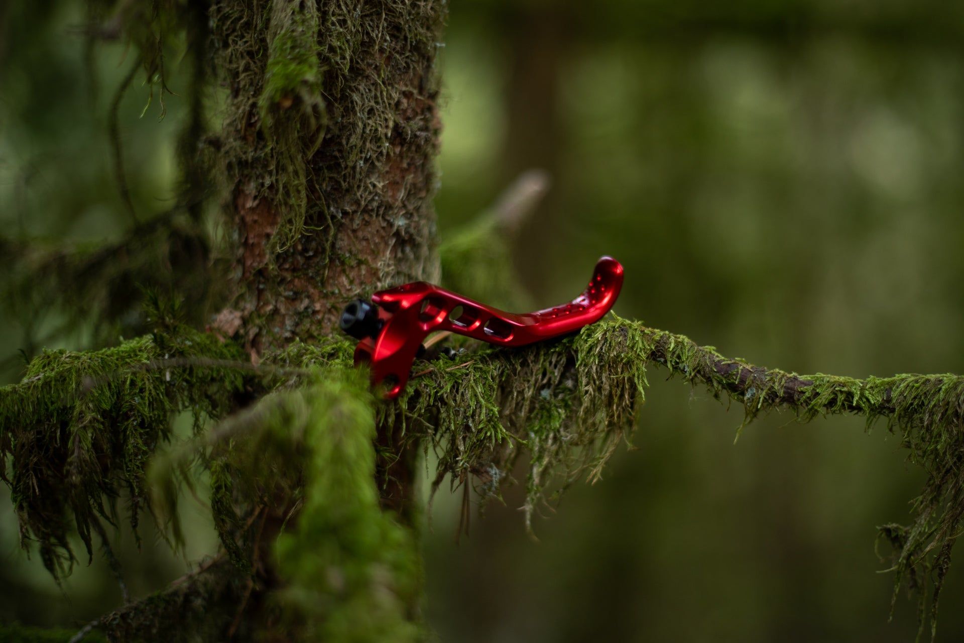Small red metallic mountain bike part on moss-covered tree branch in blurred forest setting