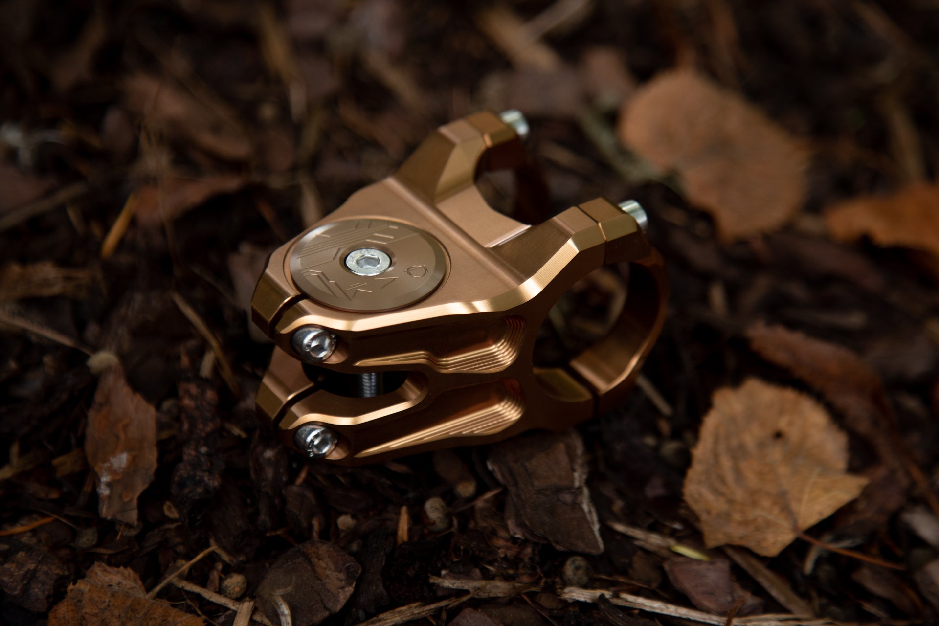 Eternal Vorbau mit Topcap