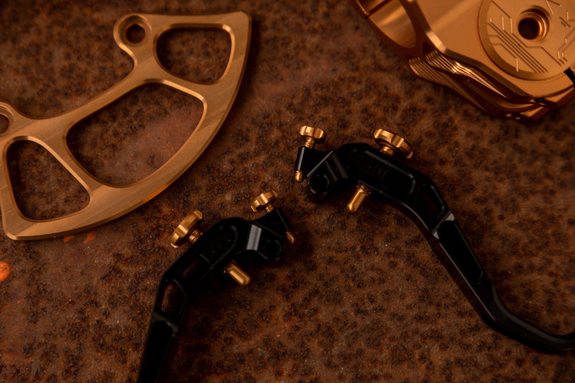 Black and gold metallic mountain bike levers with screws and gold circular components engraved with X and R