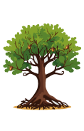 Big oak tree with little nuts