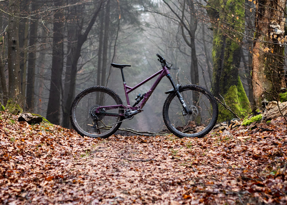 Dreambuild picture full bike in forest