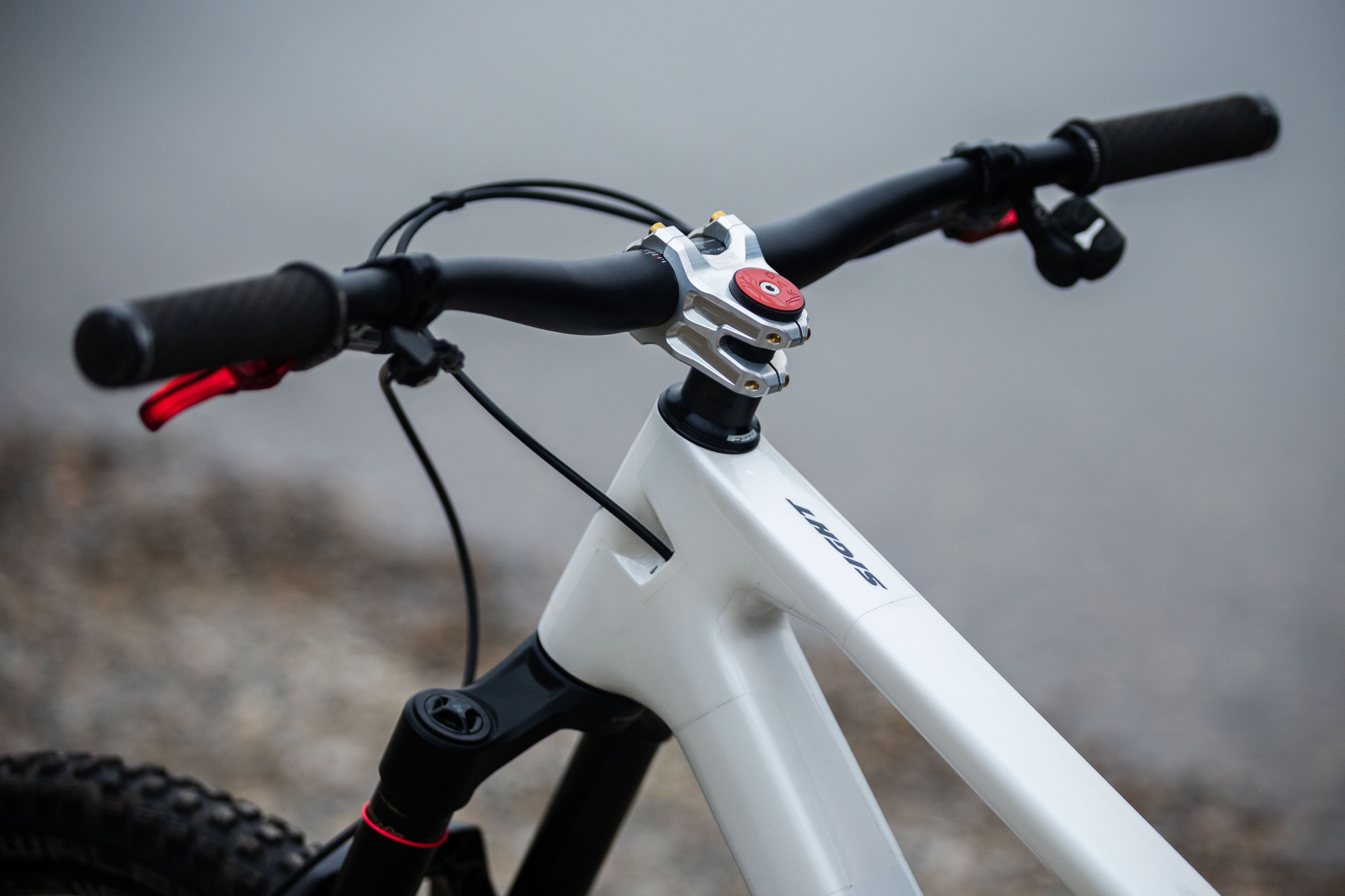 Close-up of the OAK mountain bike showing frame, black grips, red brake levers, and routed cables on handlebars.