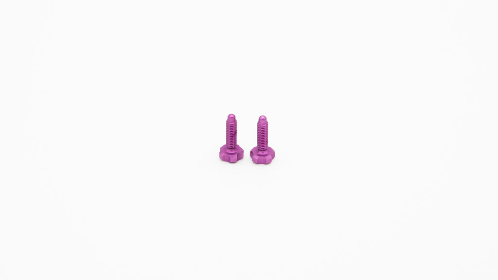 EPA screw set [2 pieces] for Root-Lever Pro